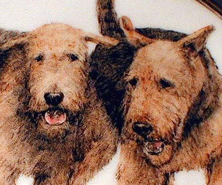 Airedales Playing