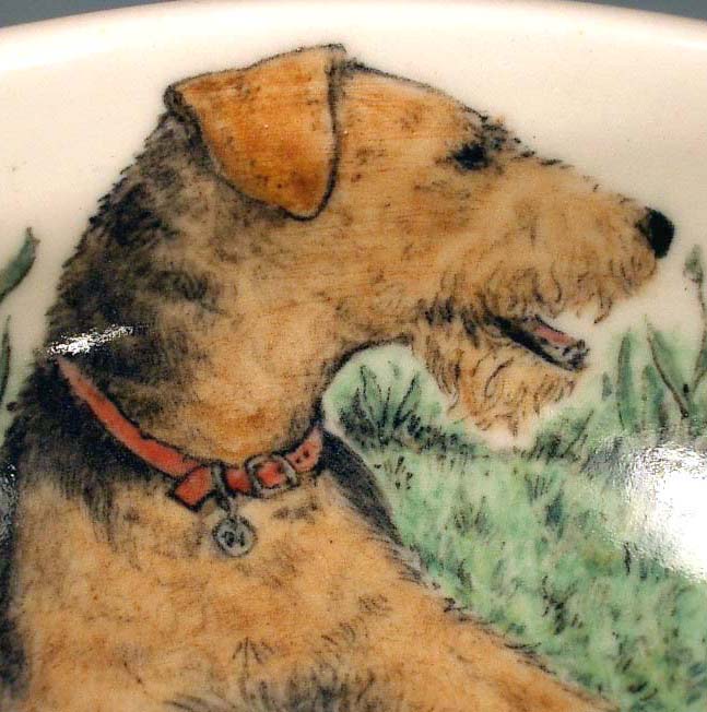 Airedales Inside