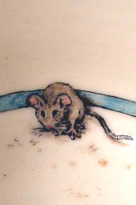 Mice in Cup