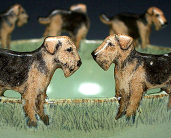 Airedales on Rim