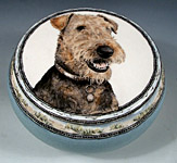 Cally Airedale