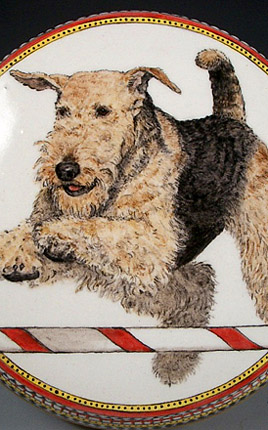 Phoebe, Airedale Terrier