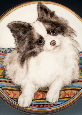 Willie, Pomeranian